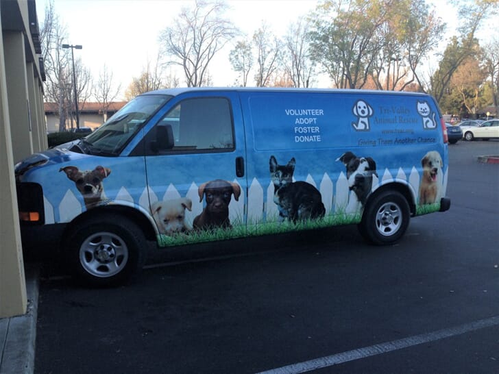 Vehicle Graphics & Wraps